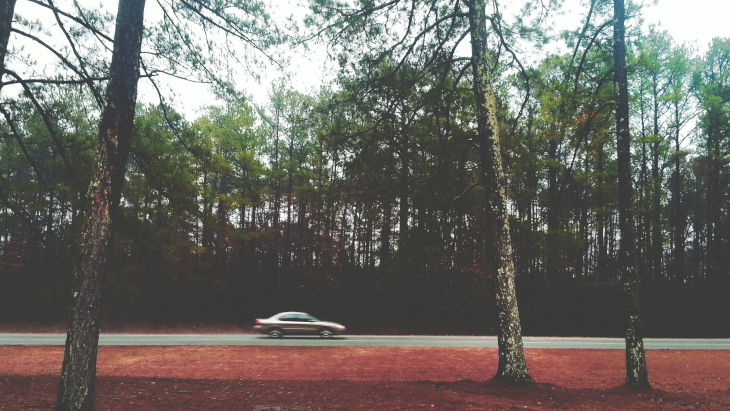 Car in the woods